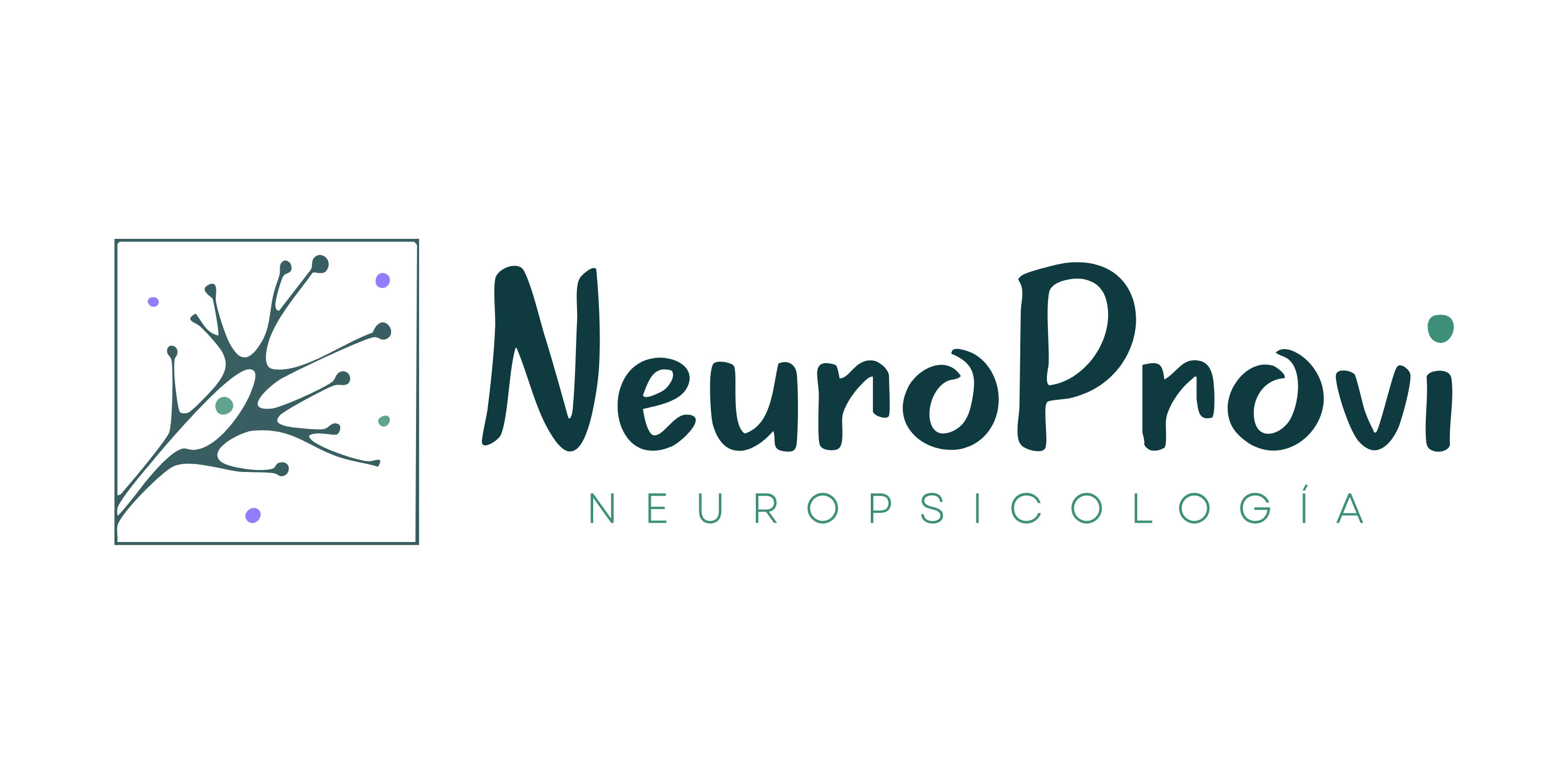 NeuroProvi